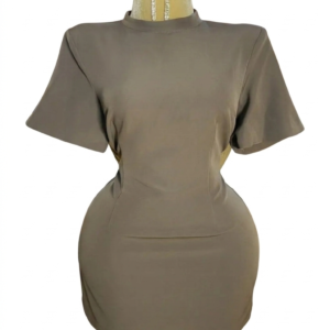 Woven Cinched Backless Mini Dress